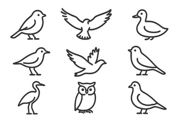 Bird icon set. Simple line art collection of animal symbols. Wildlife and nature outline icons. Includes dove, owl, duck, pigeon, and heron. Minimal vector logo elements.