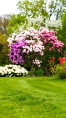 Naklejka premium Spring Garden Scene