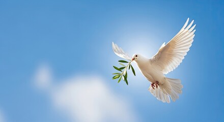 Obraz premium A white dove with olive branches in its beak soars against a clear blue sky.