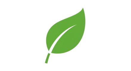 Simple Green Leaf Icon Vector