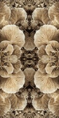 Symmetrical view of clustered, ruffled fungal forms in earth tones, resembling a kaleidoscope of organic shapes on a textured background