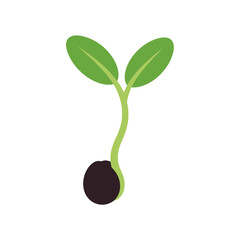 Simple Vector Illustration of a Sprouting Seedling with Two Leaves