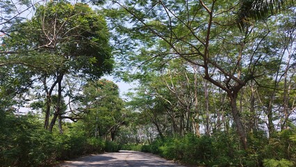 Road