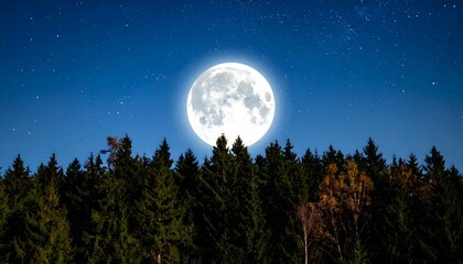 Fototapeta premium Full moon rising above forest treetops, night sky with stars.