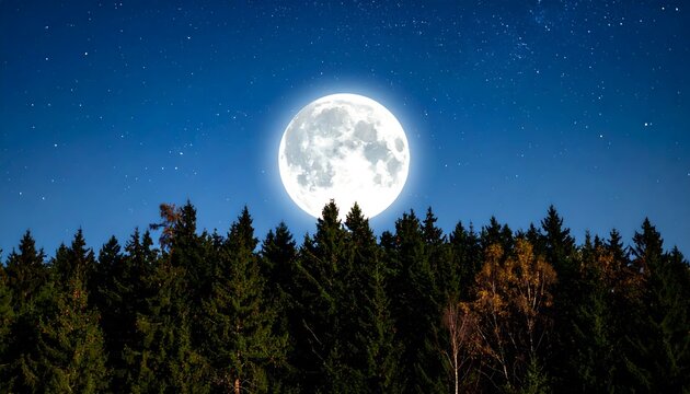 Full moon rising above forest treetops, night sky with stars.