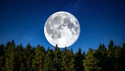 Full moon rising above forest treetops, night sky with stars.