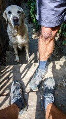 A dog sits at the top of wooden steps as a person's legs and feet are at the bottom of steps, viewed from a first-person perspective