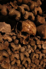 skull in the underground catacombs of Paris, France