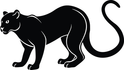 vector illustration of a tiger