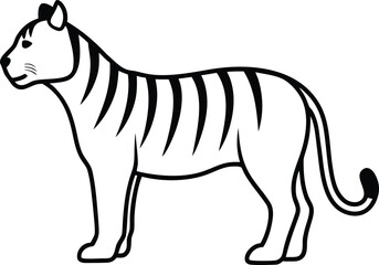 vector illustration of a tiger