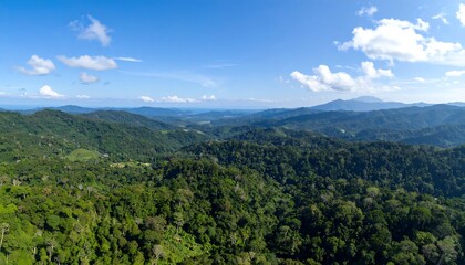 A lush, rolling landscape of verdant hills covered in dense forest stretches under a bright blue sky dotted with scattered white clouds. Distant mountains fade into the horizon