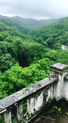 Overlooking a verdant valley from a weathered balcony with peeling paint, set against a backdrop of misty mountains under an overcast sky