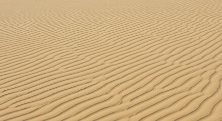 Obraz premium Close-up view of wind-swept sand dunes showing intricate ripple patterns formed by the wind.