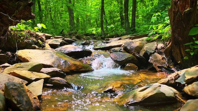Waterfall at Shamokin springs nature preserve hiking trail in Wintergreen Resort, Virginia at Blue Ridge mountains with rocks, green plants