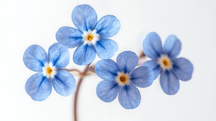 Obraz premium Macro photography showcasing blue floral petal details high resolution picture