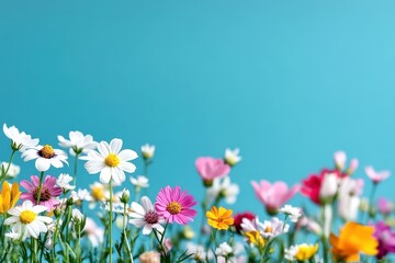Colorful Wildflower Bloom on a Bright Blue Background for Nature, Spring, and Floral Design Inspiration