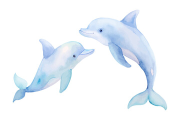 cute Watercolor marine dolphin animals