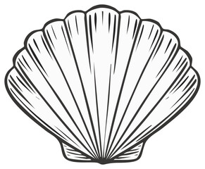 Scallop seashell in a black and white hand drawn sketch style