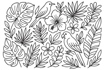 Vector background illustration with tropical theme featuring birds and plants, designed in black and white with bold black outline, symbolizing exotic nature, harmony, and beauty.