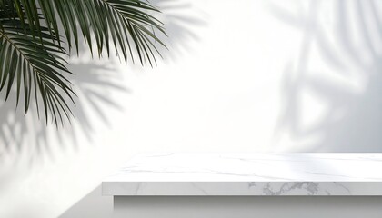 Marble Surface Display with Tropical Leaf Shadow on White Wall