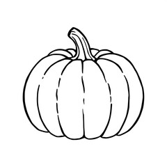 Pumpkin Simple Outline Drawing