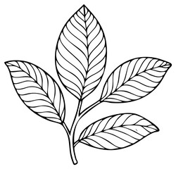 Leafy Branch Illustration with Detailed Veins, Simple Black and White Outline Design