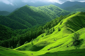 Rolling Hills in Green Mountain Landscape