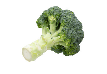 Green broccoli isolated on transparent background (PNG File)