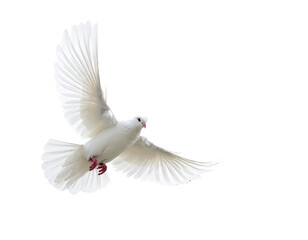 Fototapeta premium White Dove with Outstretched Wings Descending onto Wooden Cross, Isolated PNG