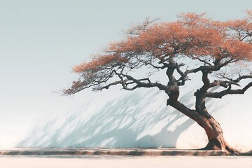 Solitary tree creating dramatic artistic pattern high resolution picture