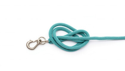 Teal dog leash with hook in twisted position on white background  