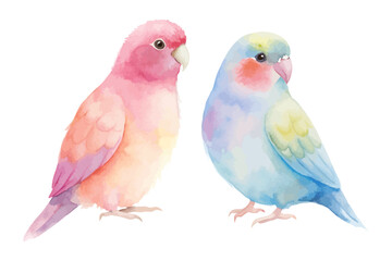 cute Watercolor exotic parrot birds