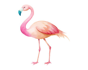 cute Watercolor exotic flamingo birds