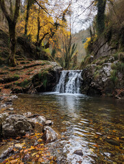 Scenic Mountain Stream and Waterfall Surrounded by Fall Leaves