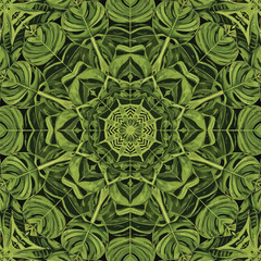 Green Monstera Leaf Kaleidoscope Pattern Design for Modern Backgrounds, patern seamless, Stock royalty free.