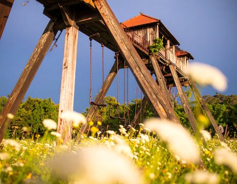 Wooden playground swing set in overgrown meadow - Powered by Adobe