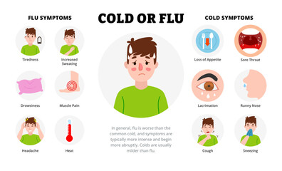Cold or Flu infographic design with man character. Vector poster template showing causes, symptoms, treatment, and prevention for medical education, healthcare awareness, chart illustration banner.
