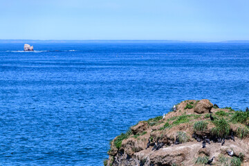 青空の霧多布岬を歩く
