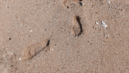 Footprints on wet sandy beach closeup
