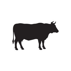 Qurbani cow silhouette vector flat illustration design on white background