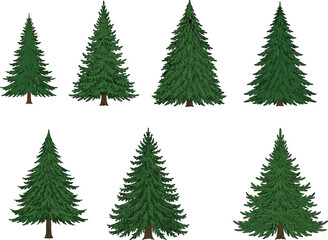 Collection of pine tree illustrations, cartoon evergreen trees, forest greenery clipart, nature landscape element, winter tree design pack