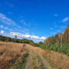 road in the fields autumn landscape photo image outdoor background with blue sky 