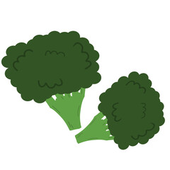 broccoli cartoon illustration. Broccoli vegetable.