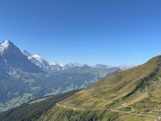Fototapeta premium Majestic View of the Eiger Mountain in Grindelwald, Switzerland | Swiss Alps Hiking & Scenic Alpine Landscape
