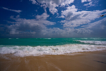 Ocean waves, summer background. Stormy sea waves. Summer sea beach wave. Foamy ocean waves. Summer ocean breeze. Dreamy summer beach background. Ocean splash waves.