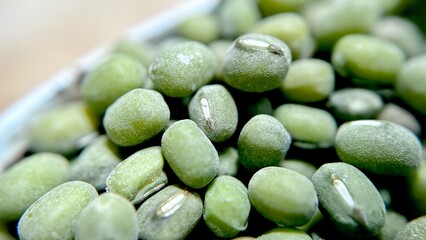 close up of Mung Beans