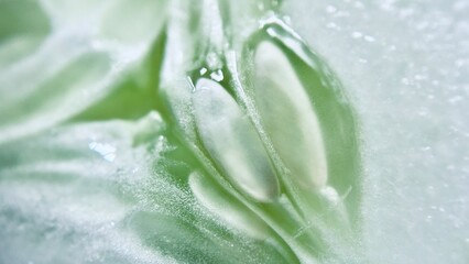 close up of slice cucumber