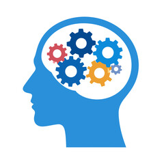 Human Brain Function and Cognitive Processes.