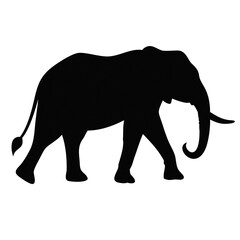 Fototapeta premium Large elephant silhouette walking with trunk raised, isolated black figure on transparent background, PNG format, high quality, for safari graphics, wildlife branding and decorative designs
