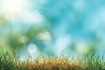 Obraz premium Blurred Summer Background With Grass